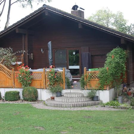 Ferienhaus Buchenblick Ankelohe Exteriör bild